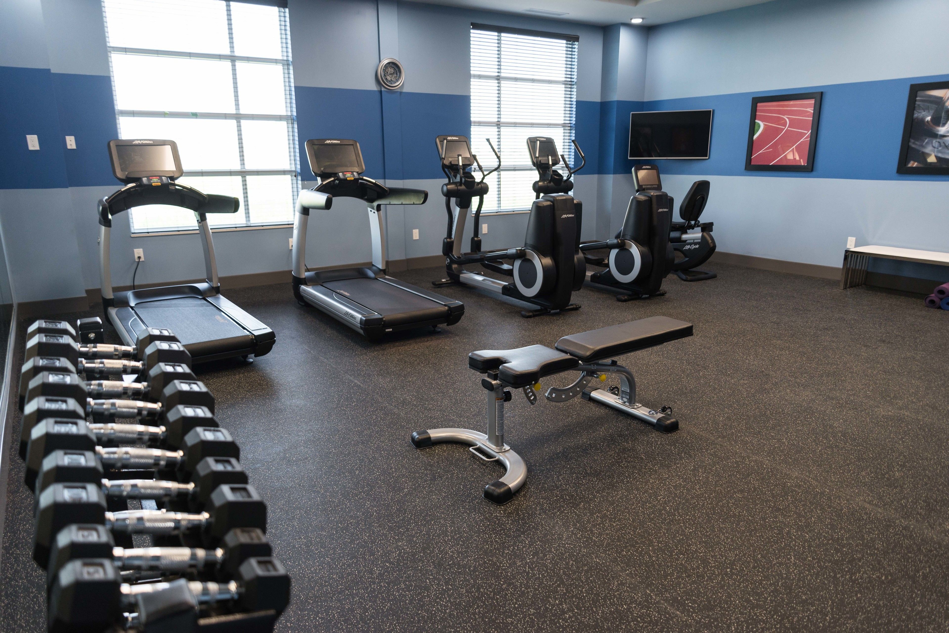 A gym with treadmills, elliptical machines, a bench, and dumbbells.