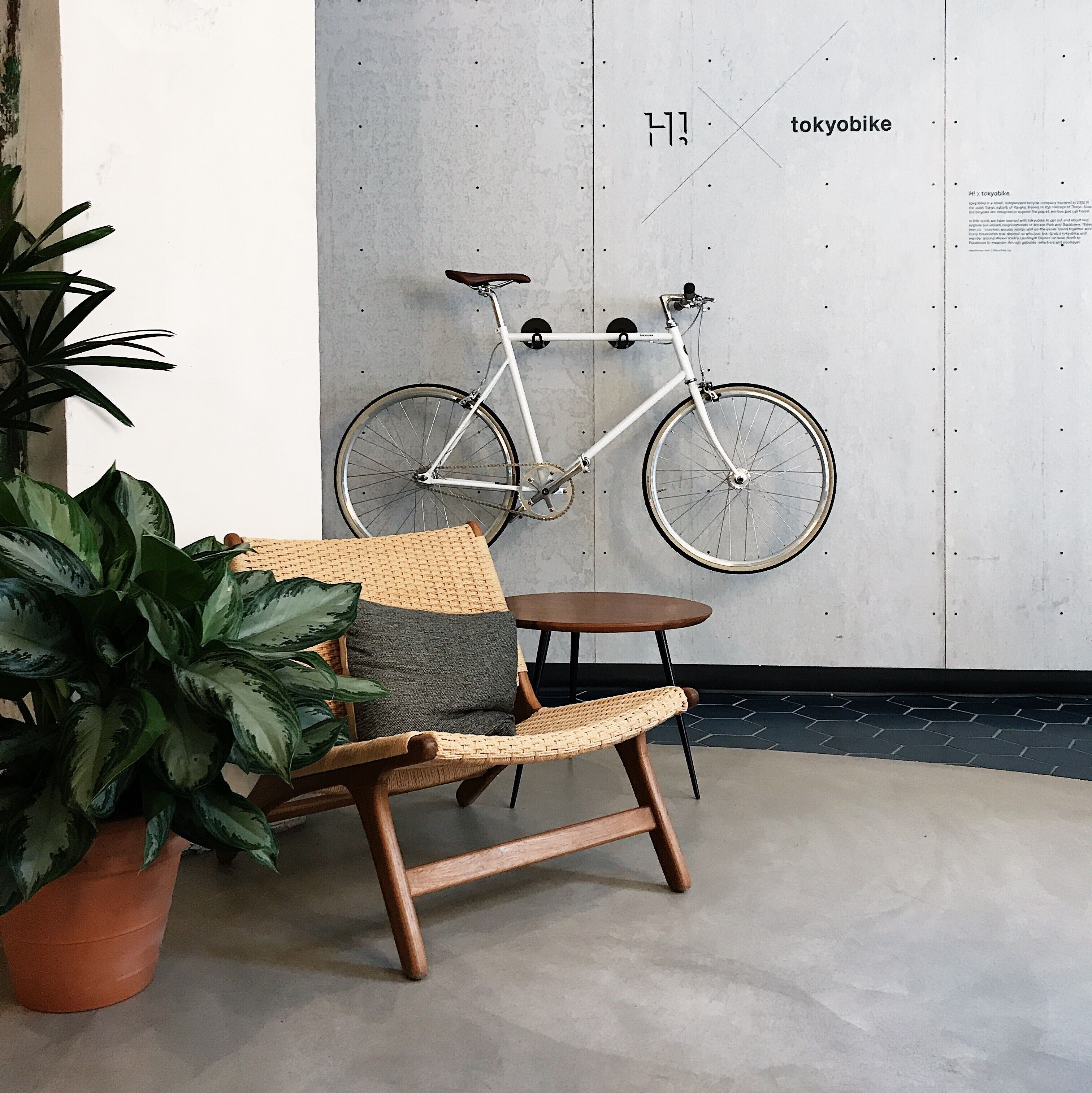 A room with a white wall, a mounted bicycle, a wicker chair, a small round table, and a potted plant.