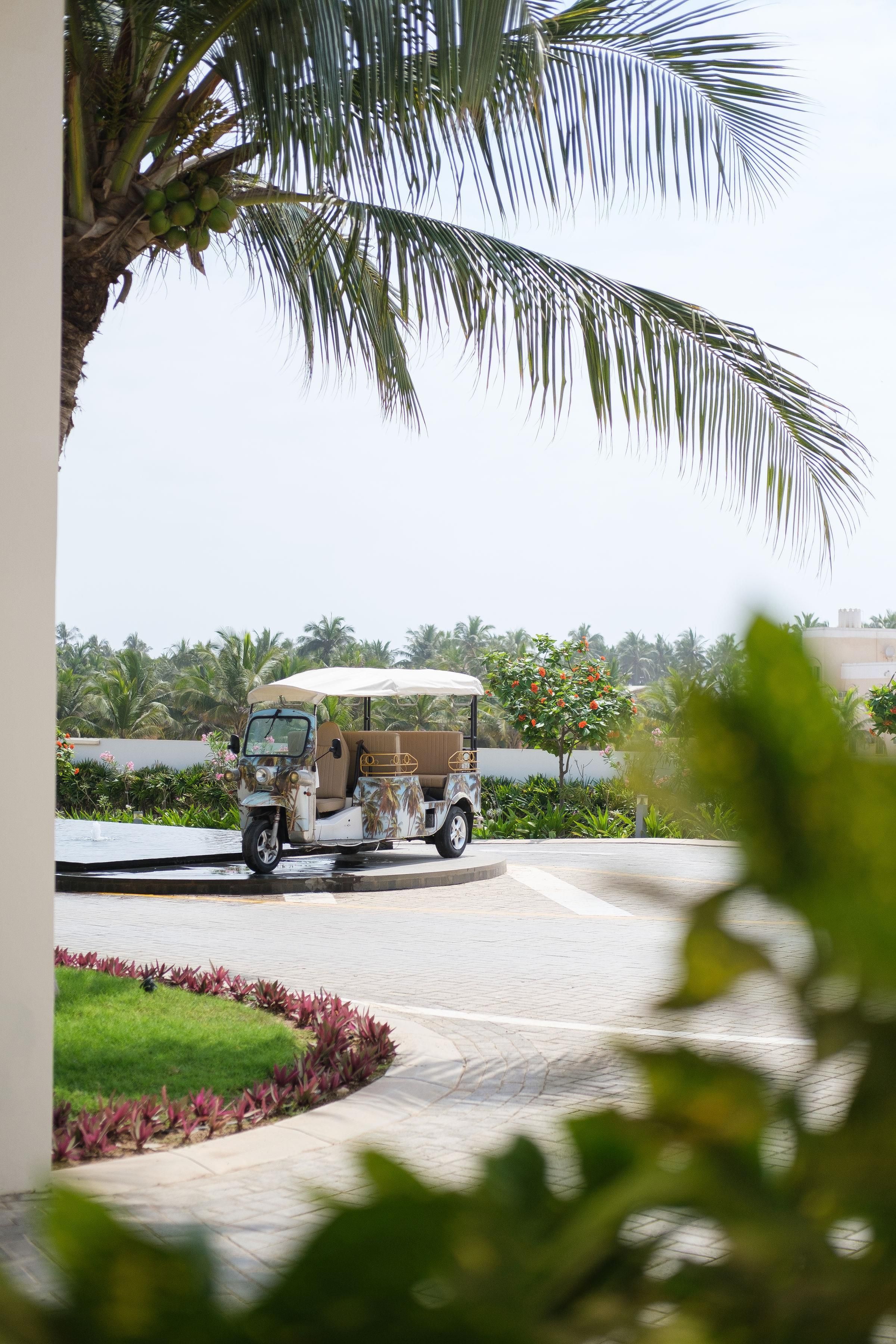 A vehicle parked on a paved area with a palm tree in the foreground.