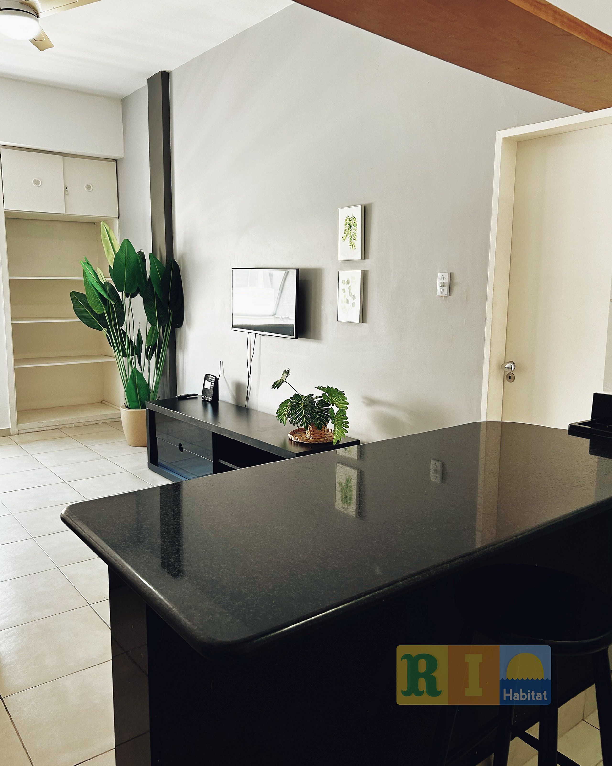 A modern kitchen with a black countertop, a television mounted on the wall, and a potted plant on the counter.