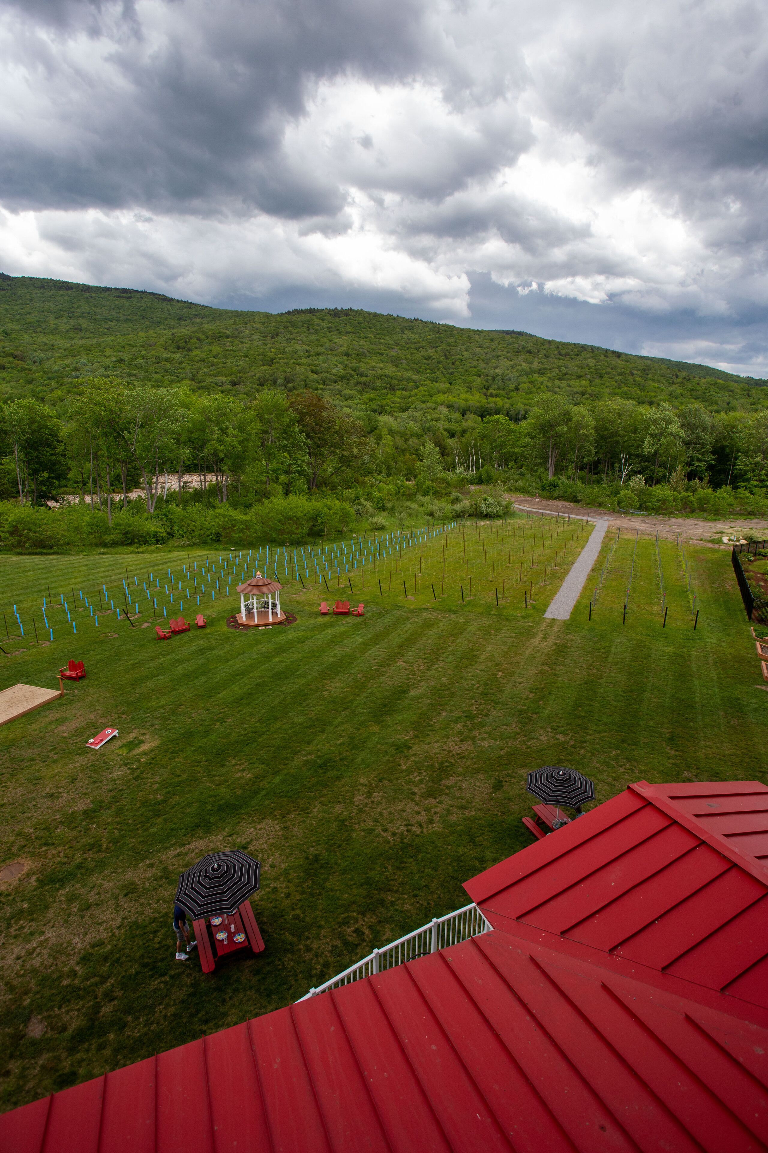 studio | vineyard view