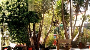 Un espace extérieur aménagé avec des chaises modernes et un banc en bois, entouré d’une végétation luxuriante et de grands arbres.