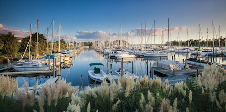 Lake view