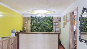 A reception area with a wooden counter, a green wall with plants, and a mirror with a decorative frame.