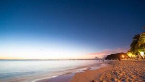 Una playa con un mar tranquilo, una orilla arenosa y algunas palmeras.