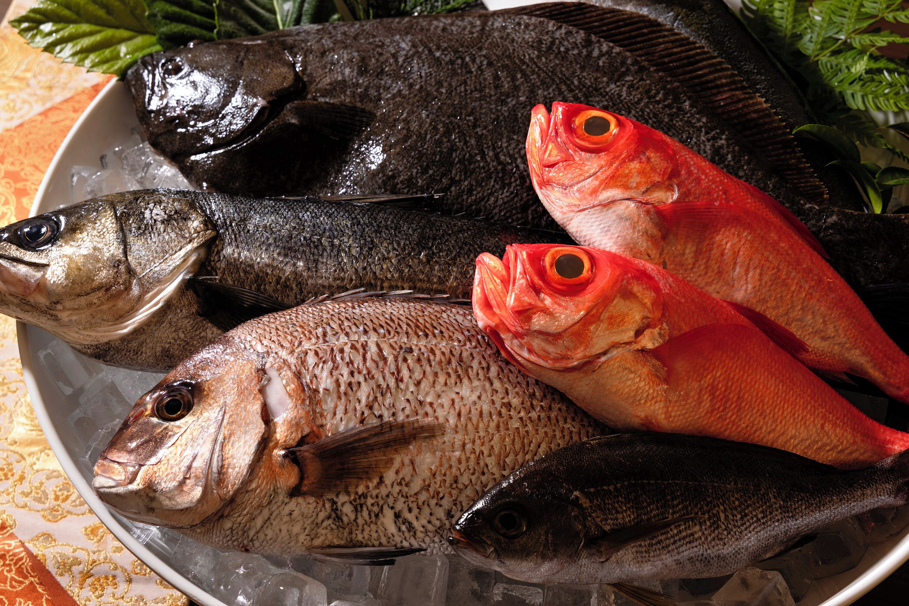 Pesce fresco assortito su un letto di ghiaccio.