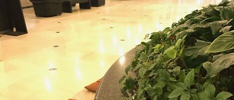 Servicio de la propiedad