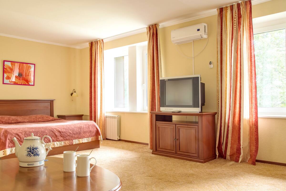 A hotel room with a bed, a television on a wooden cabinet, a radiator, and a window with curtains.