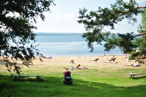 Beach bar - Losevo Park (Romashkinskoe)