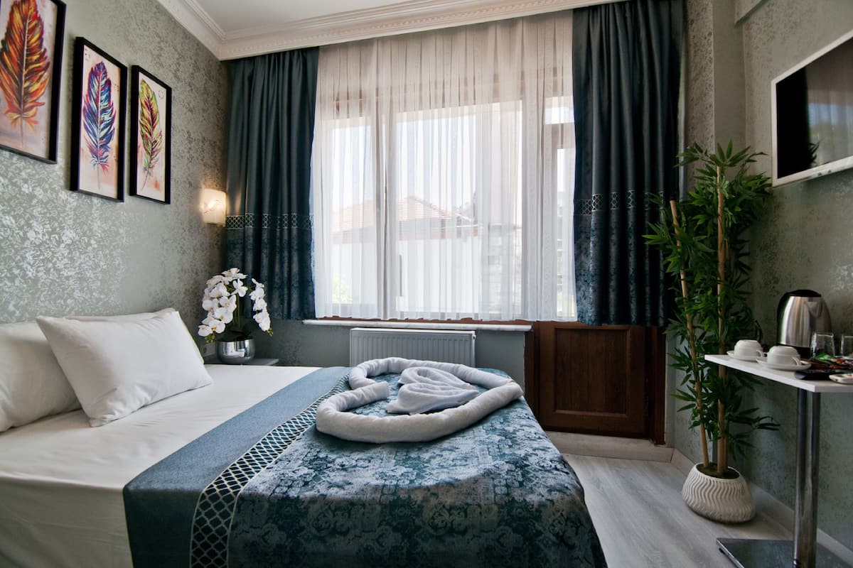Une chambre d’hôtel avec un lit, une fenêtre avec des rideaux, un téléviseur fixé au mur, une table de chevet avec une lampe et une plante en pot.