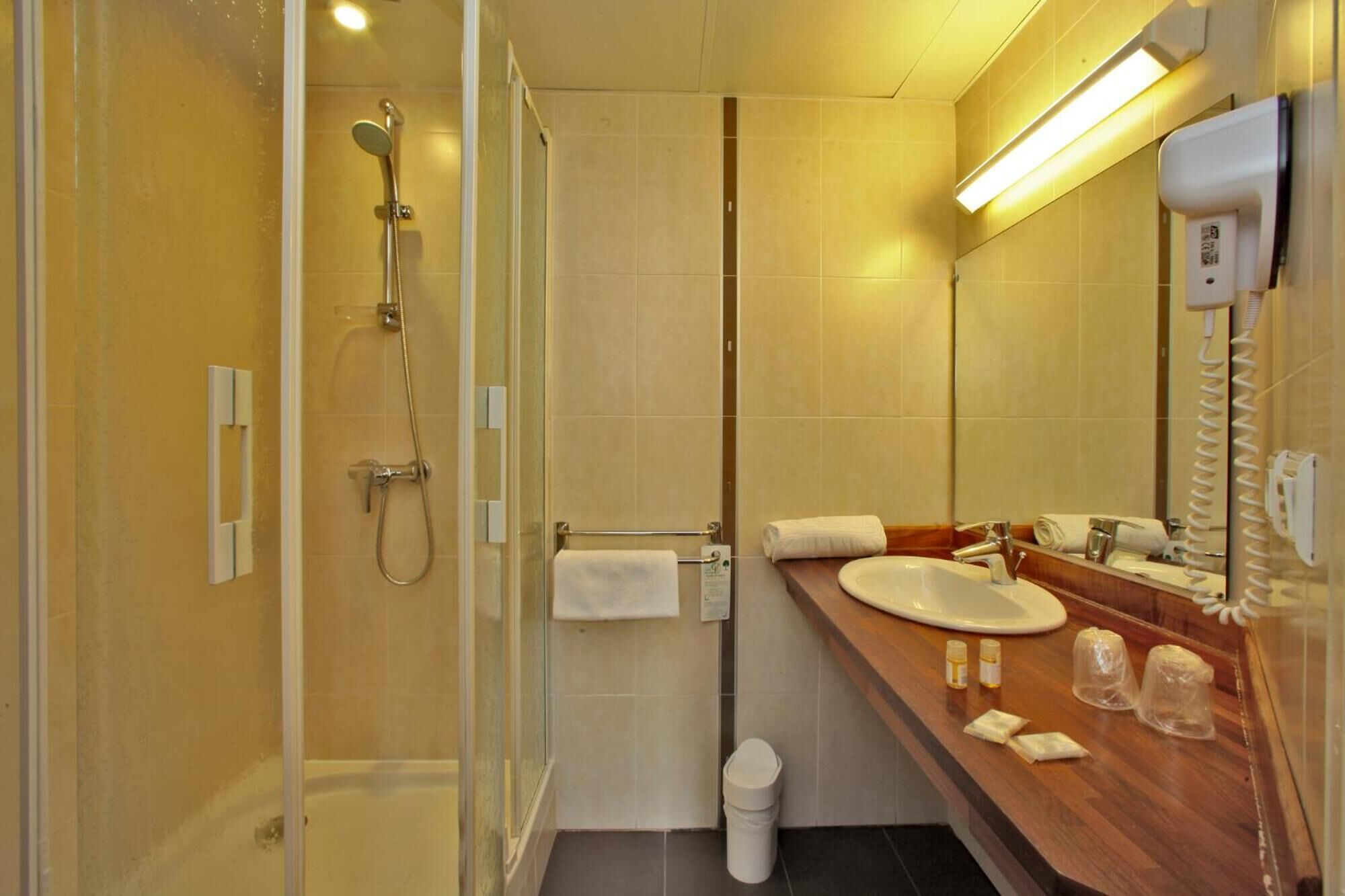 shower, free toiletries, hair dryer, towels