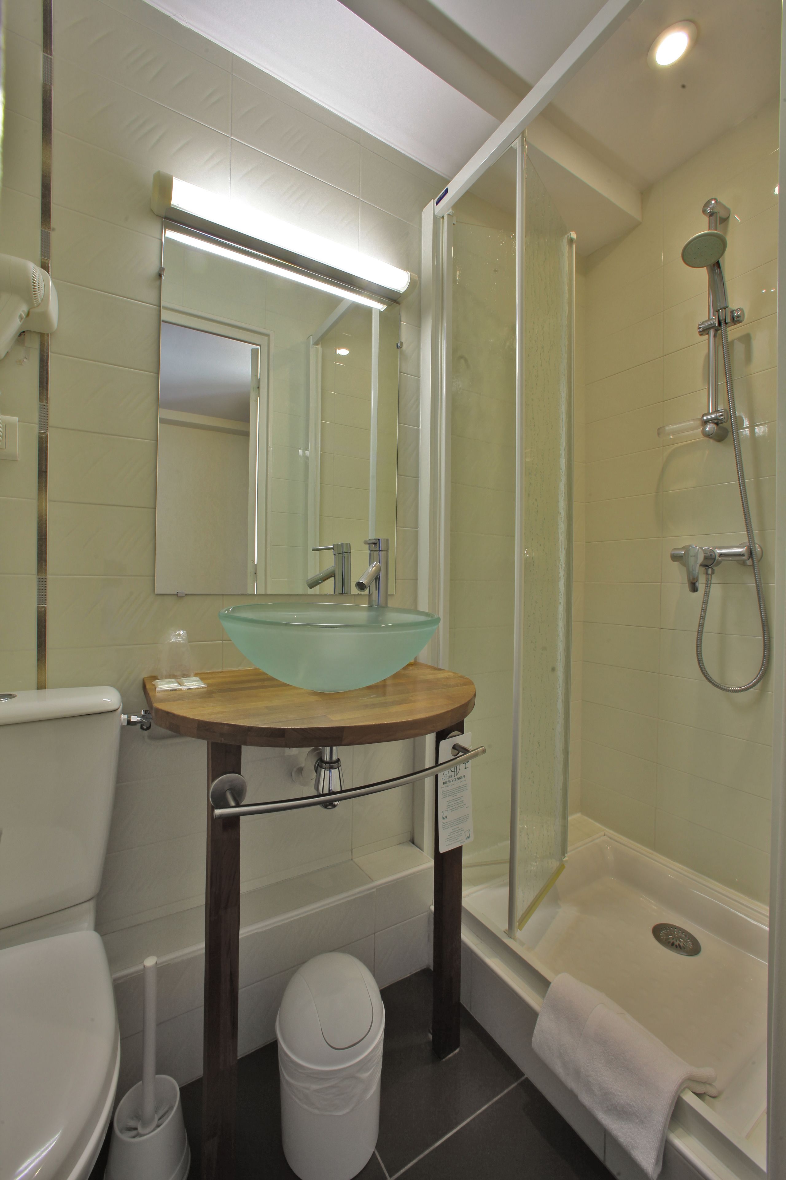 standard double room, small bathroom  | bathroom | shower, free toiletries, hair dryer, towels