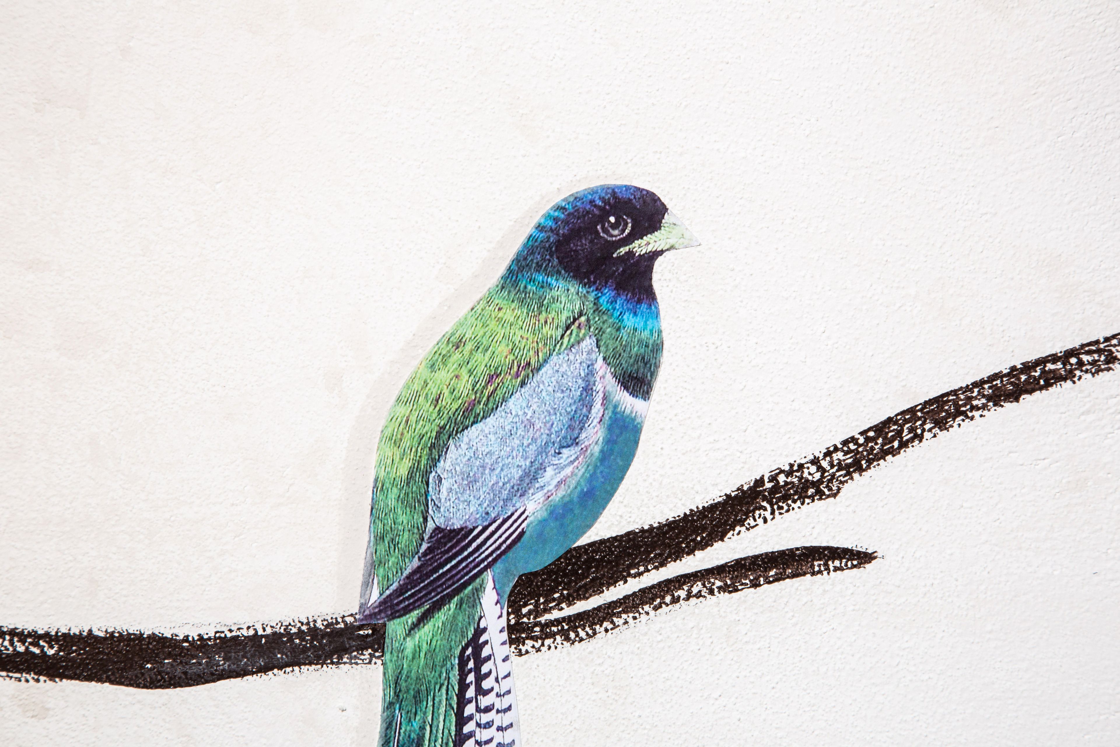 Un pájaro en una rama frente a una pared blanca.