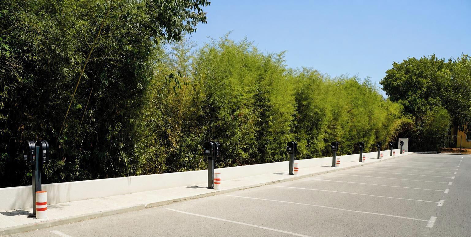Un parking avec des places délimitées et un trottoir.