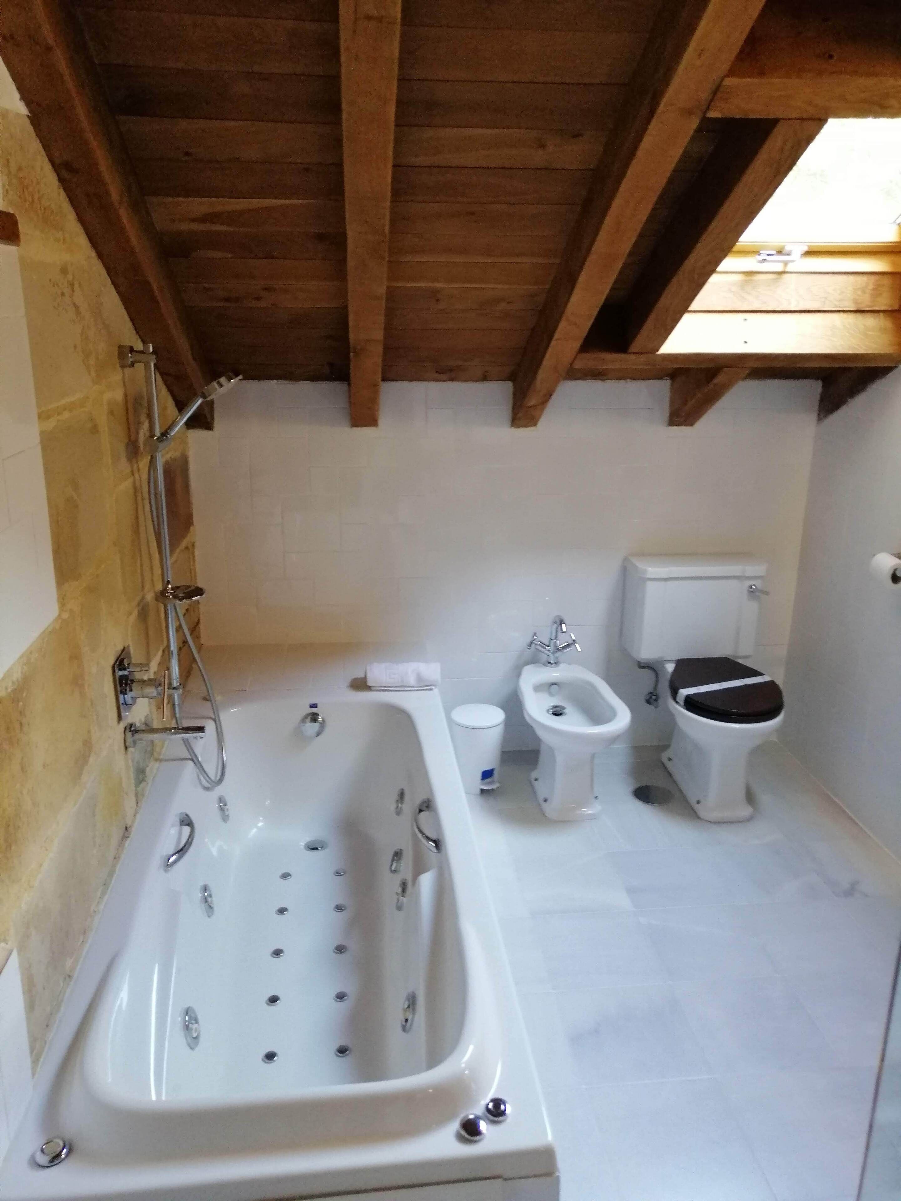 suite, private bathroom | bathroom