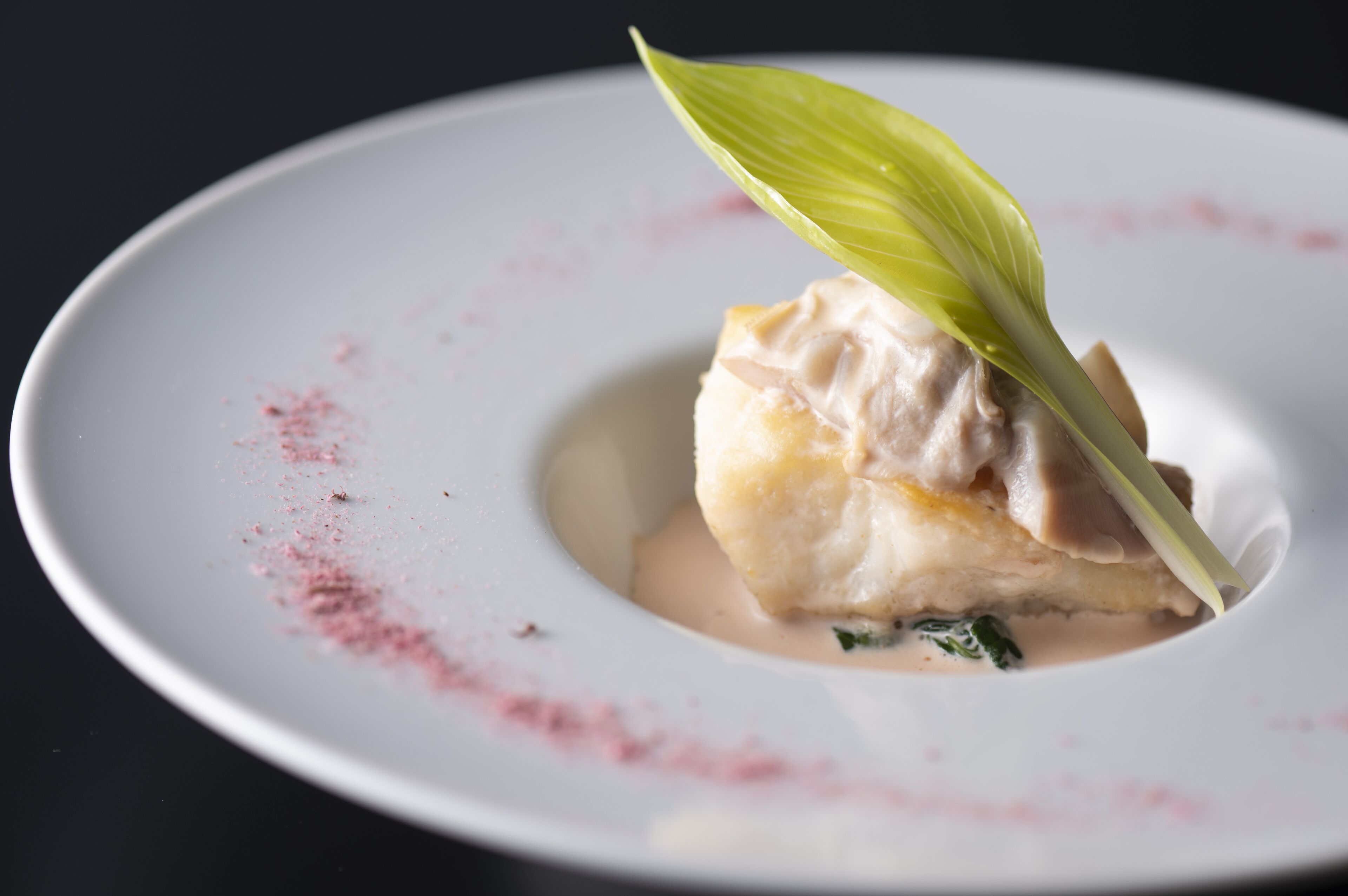 A white plate with a piece of fish, a creamy sauce, and a green leaf garnish.