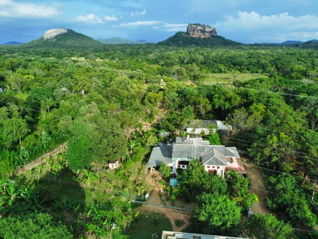 Ländliche Landschaft mit einem markanten Hügel und einem Haus, umgeben von dichter Vegetation.