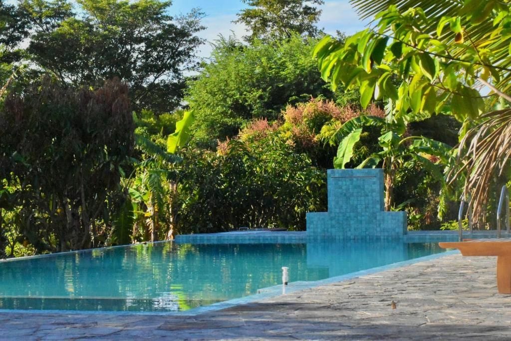 A clear swimming pool with a tiled edge, surrounded by lush greenery and trees.