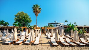 Ein Strand mit Liegestühlen, Sonnenschirmen, einer Palme und einem Gebäude im Hintergrund.