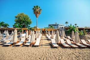 A beach with rows of sun loungers and umbrellas, a palm tree, and a building in the background.