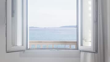 Vista desde la propiedad