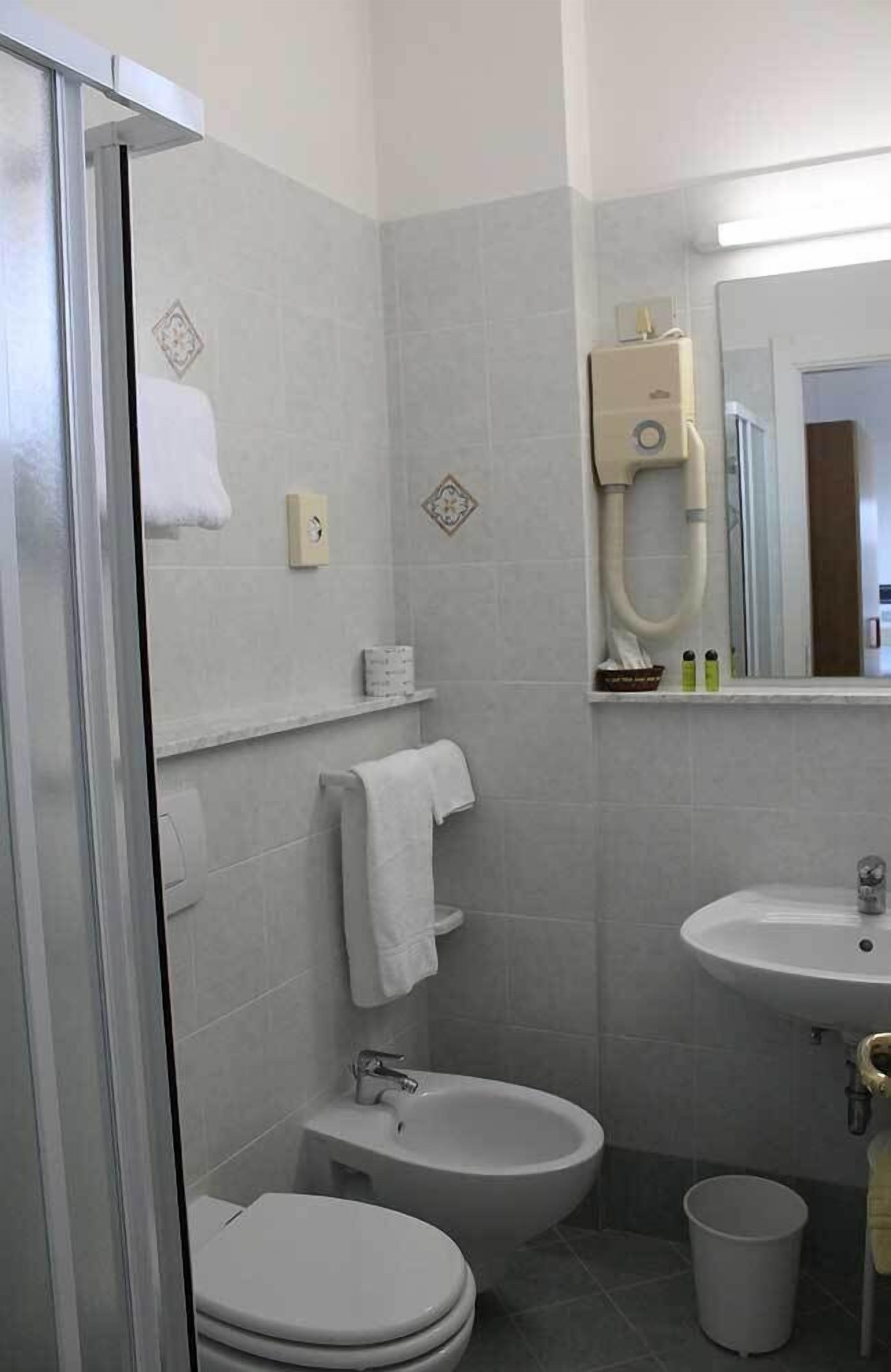 shower, free toiletries, hair dryer, bidet