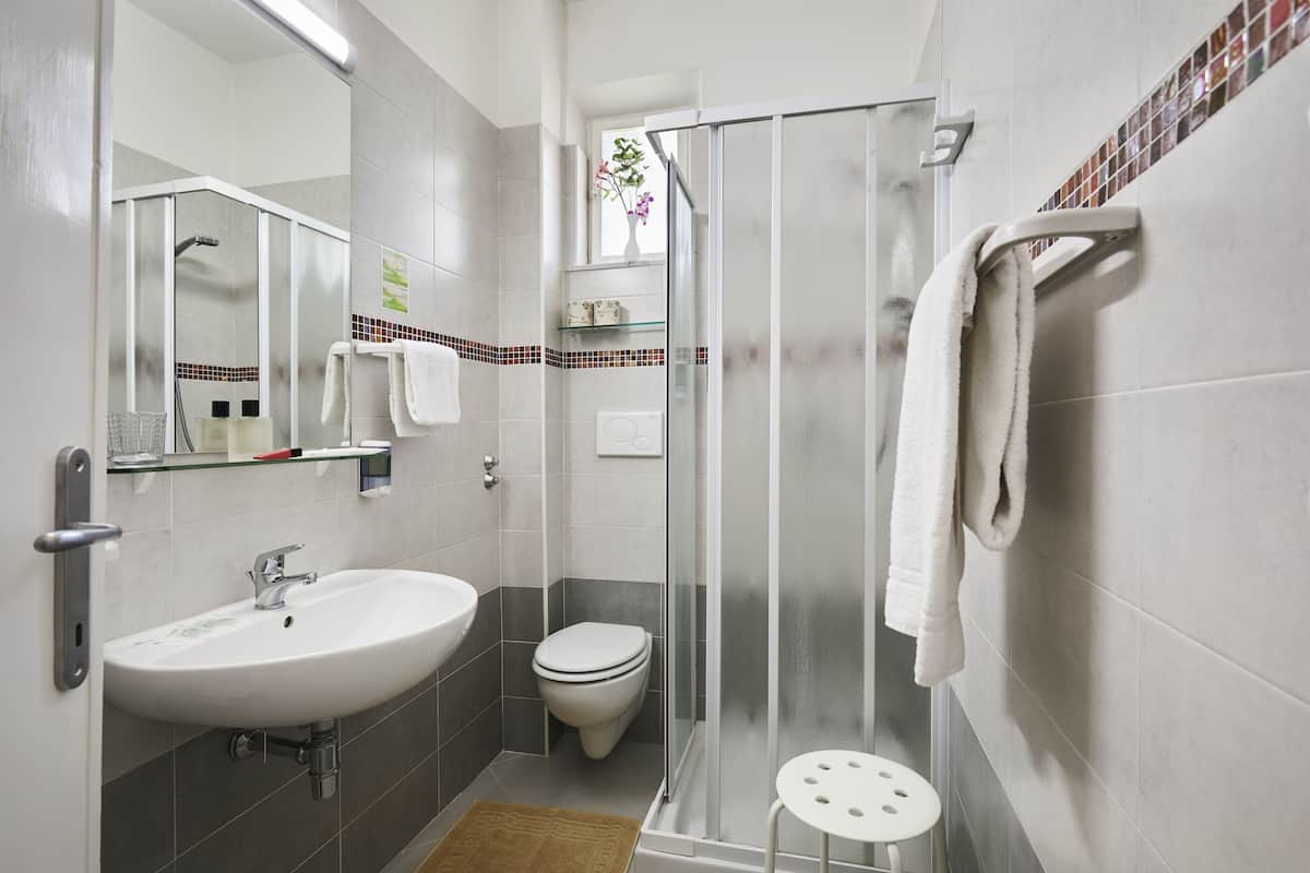 shower, free toiletries, hair dryer, bidet