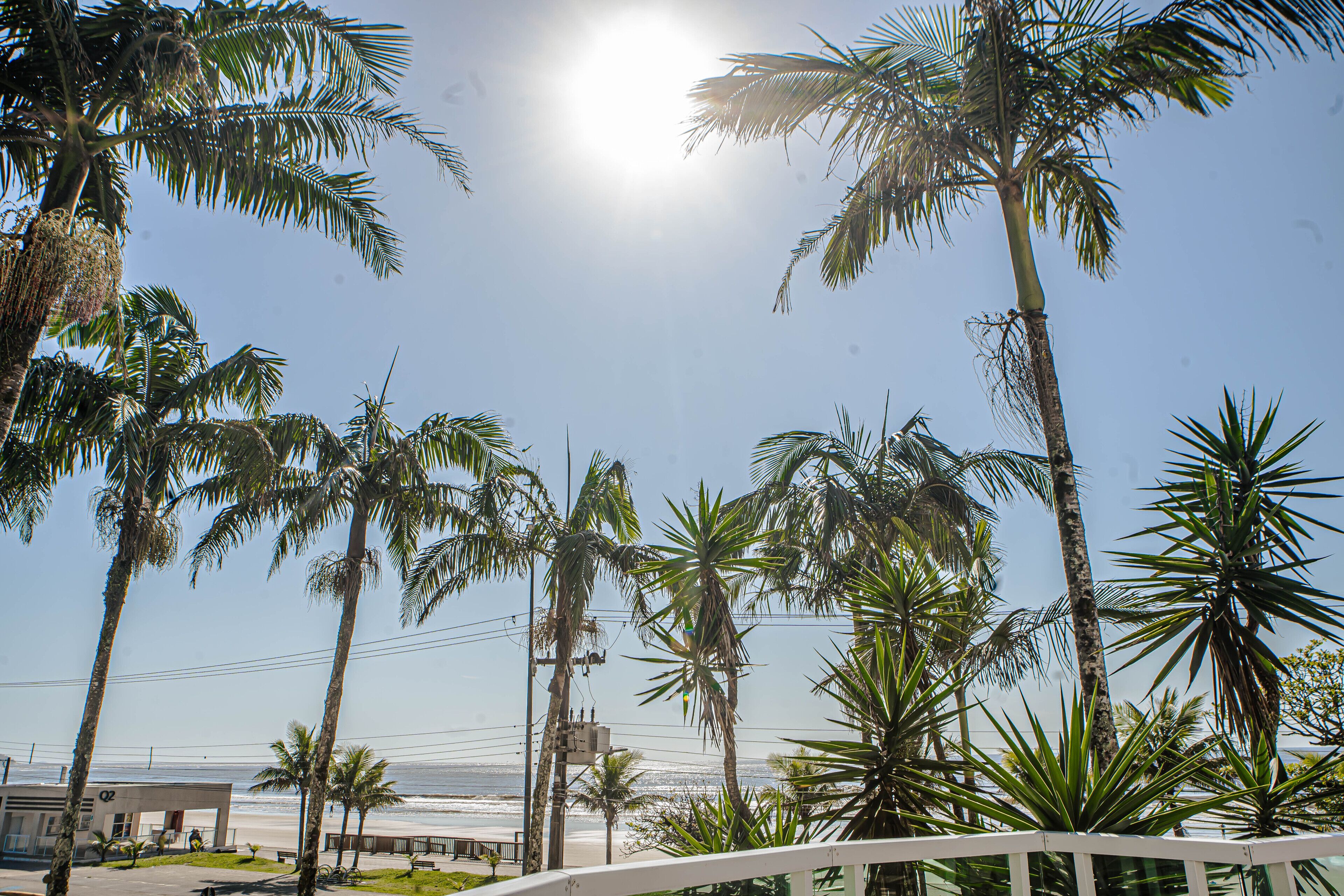 A beachside view with palm trees, a clear sky, and a building in the background.