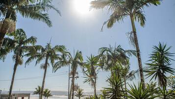 A beachside view with palm trees, a clear sky, and a building in the background.