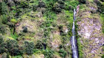 Una cascada rodeada de un bosque denso.