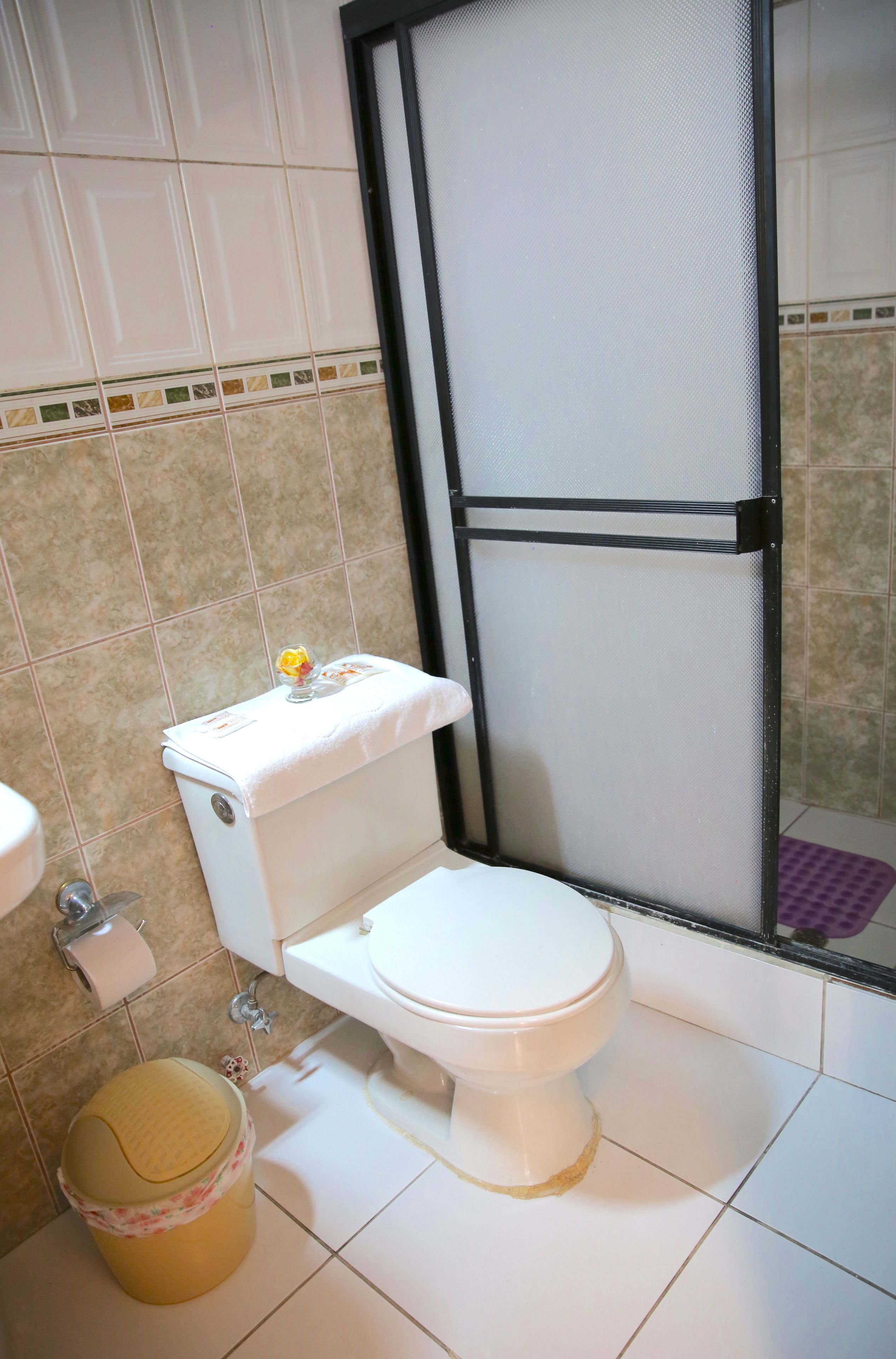 shower, free toiletries, towels