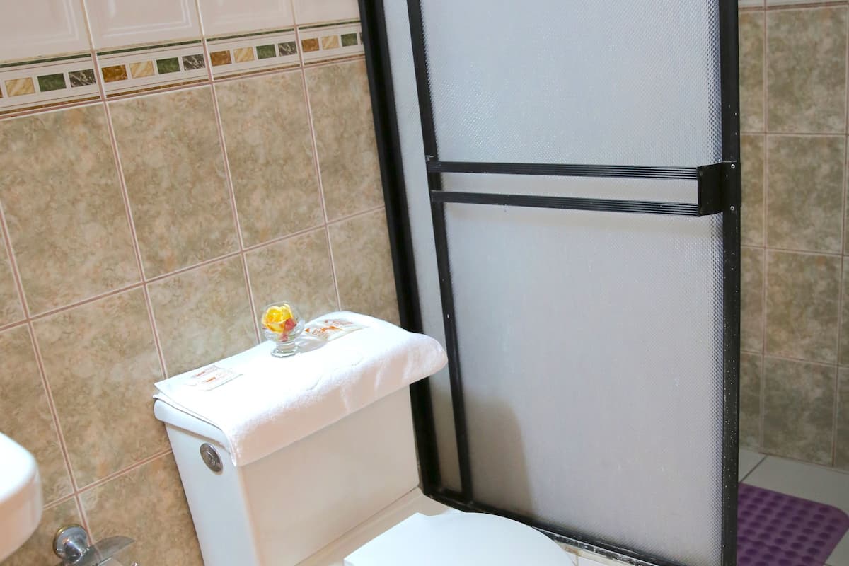 shower, free toiletries, towels