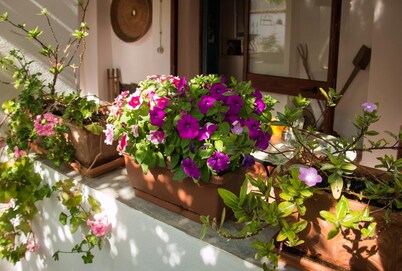 B&B Martina