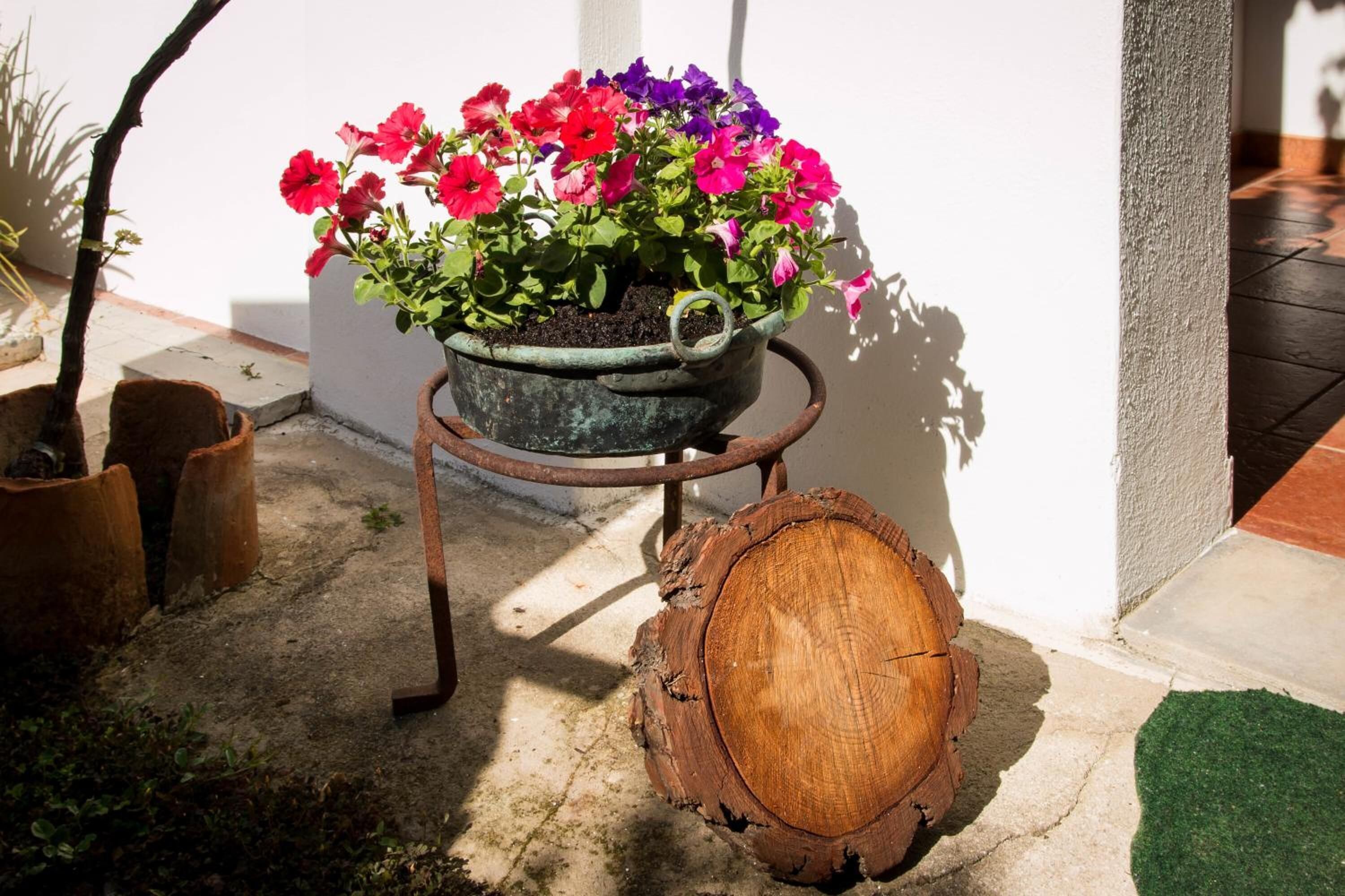 A rustic outdoor setting with a metal planter holding vibrant flowers, a wooden log, and a concrete floor.