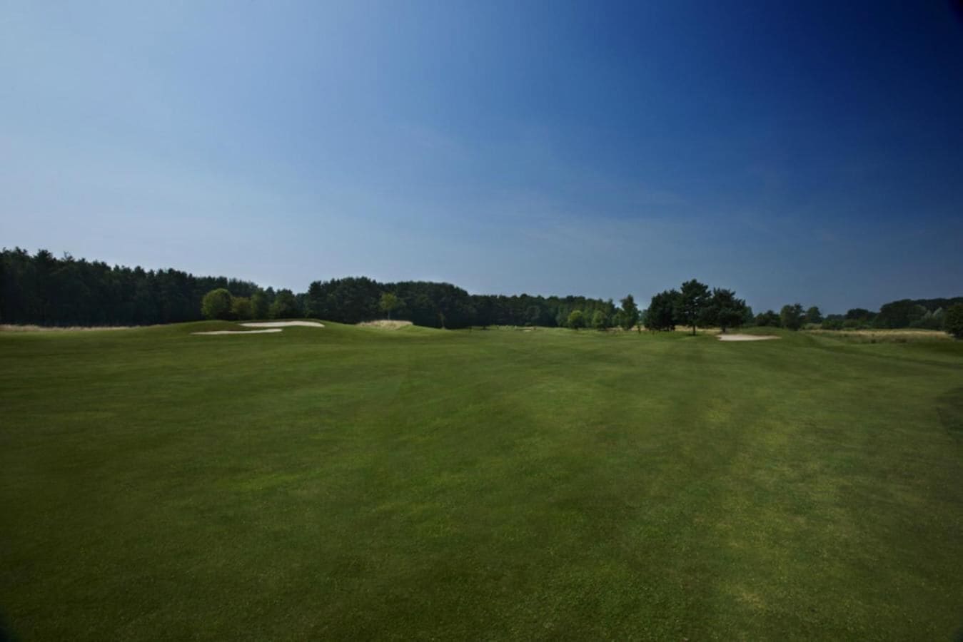 A wide, open grassy area with trees in the background and a clear sky.