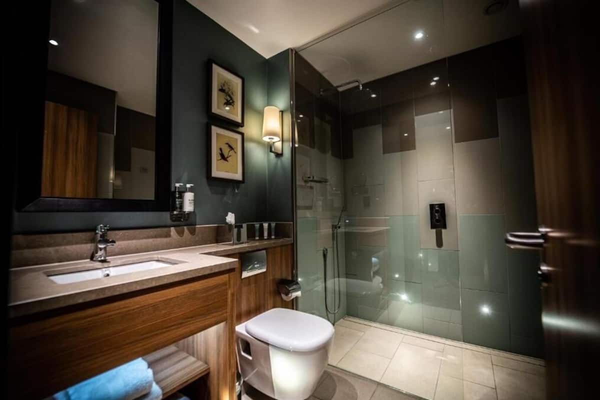 shower, free toiletries, hair dryer, towels