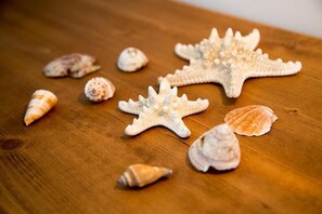 A wooden surface with various seashells and starfish.