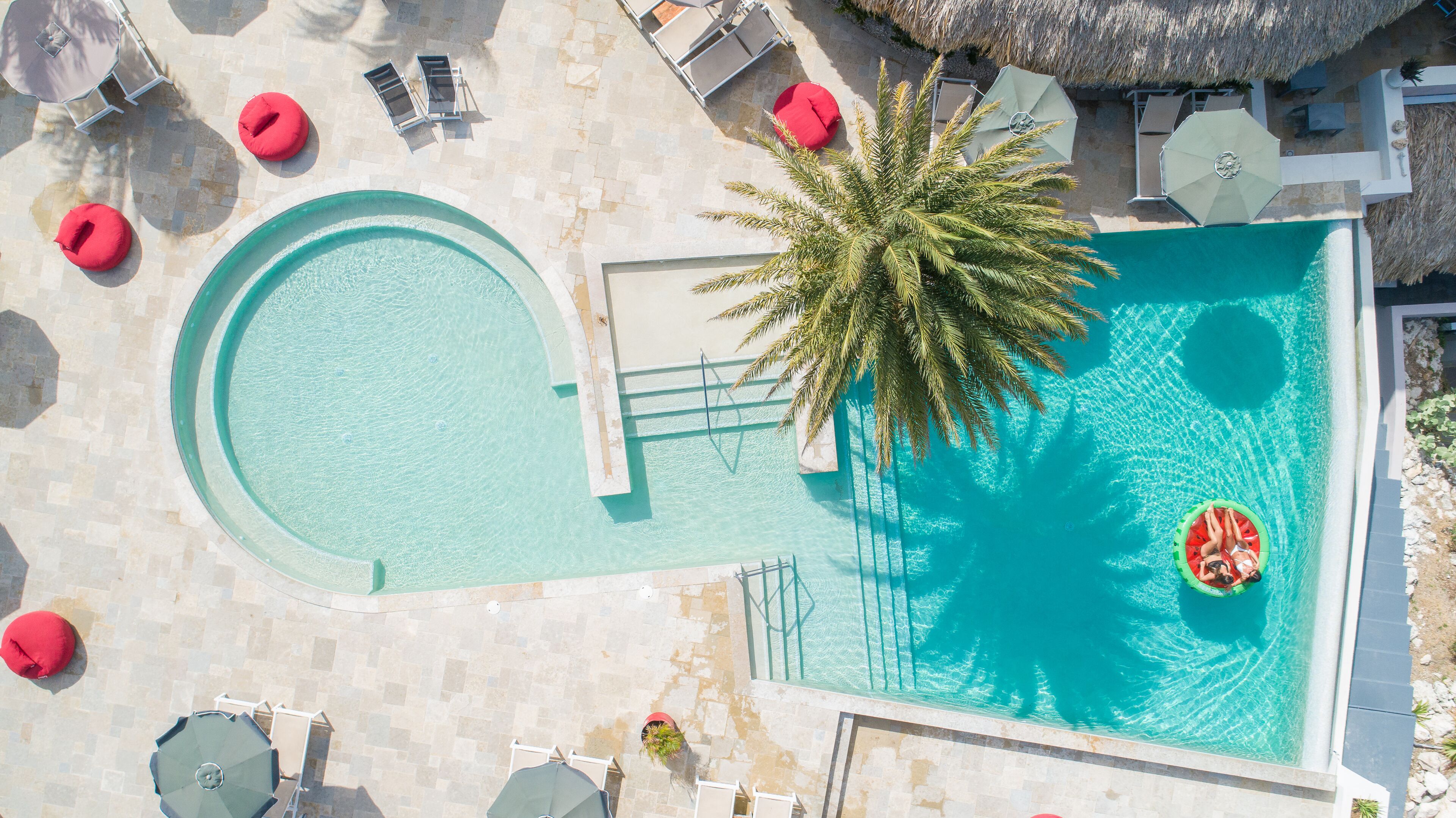 An aerial view of a swimming pool with a palm tree, lounge chairs, and umbrellas.