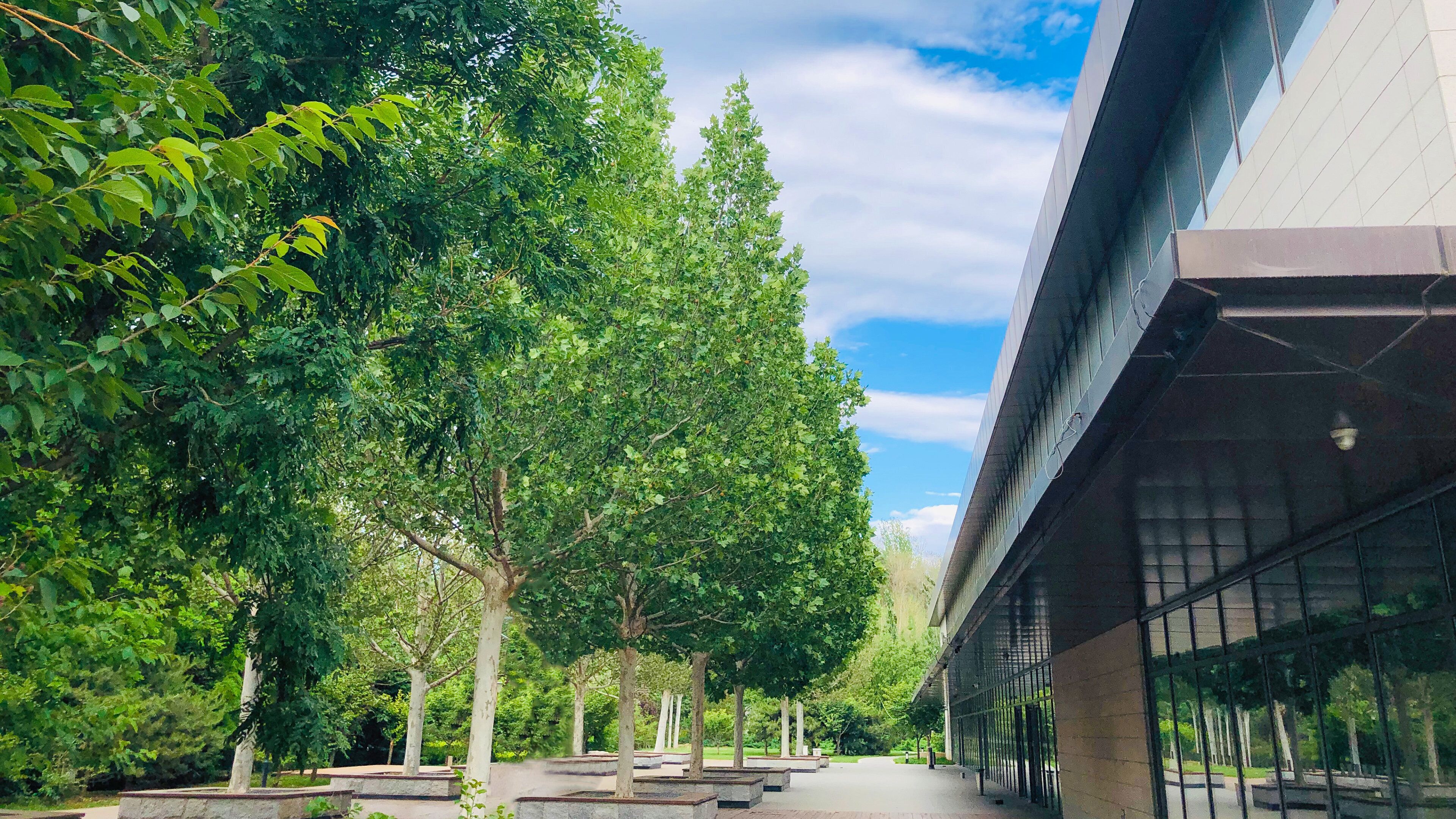 Foto - Holiday Inn Beijing Shijingshan Parkview by IHG