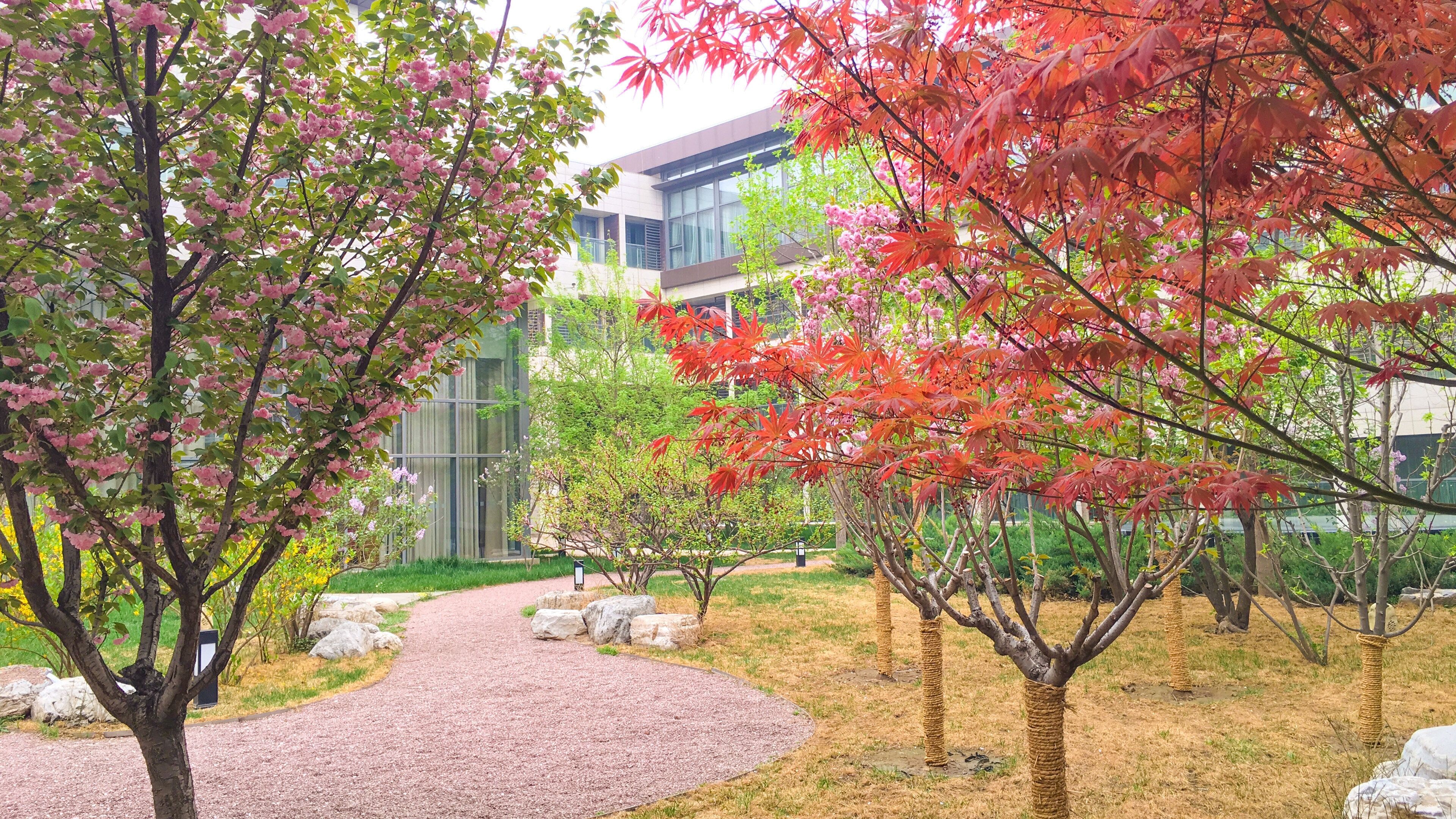 Foto - Holiday Inn Beijing Shijingshan Parkview by IHG