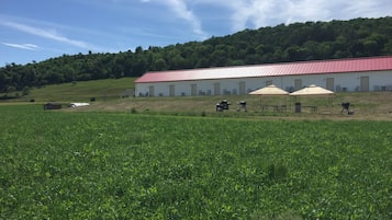 Área de parrilladas y picnic