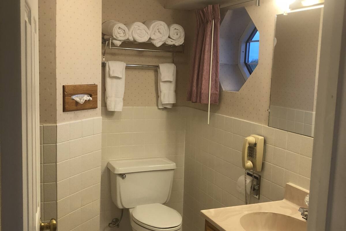 free toiletries, hair dryer, towels