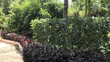 Área da propriedade