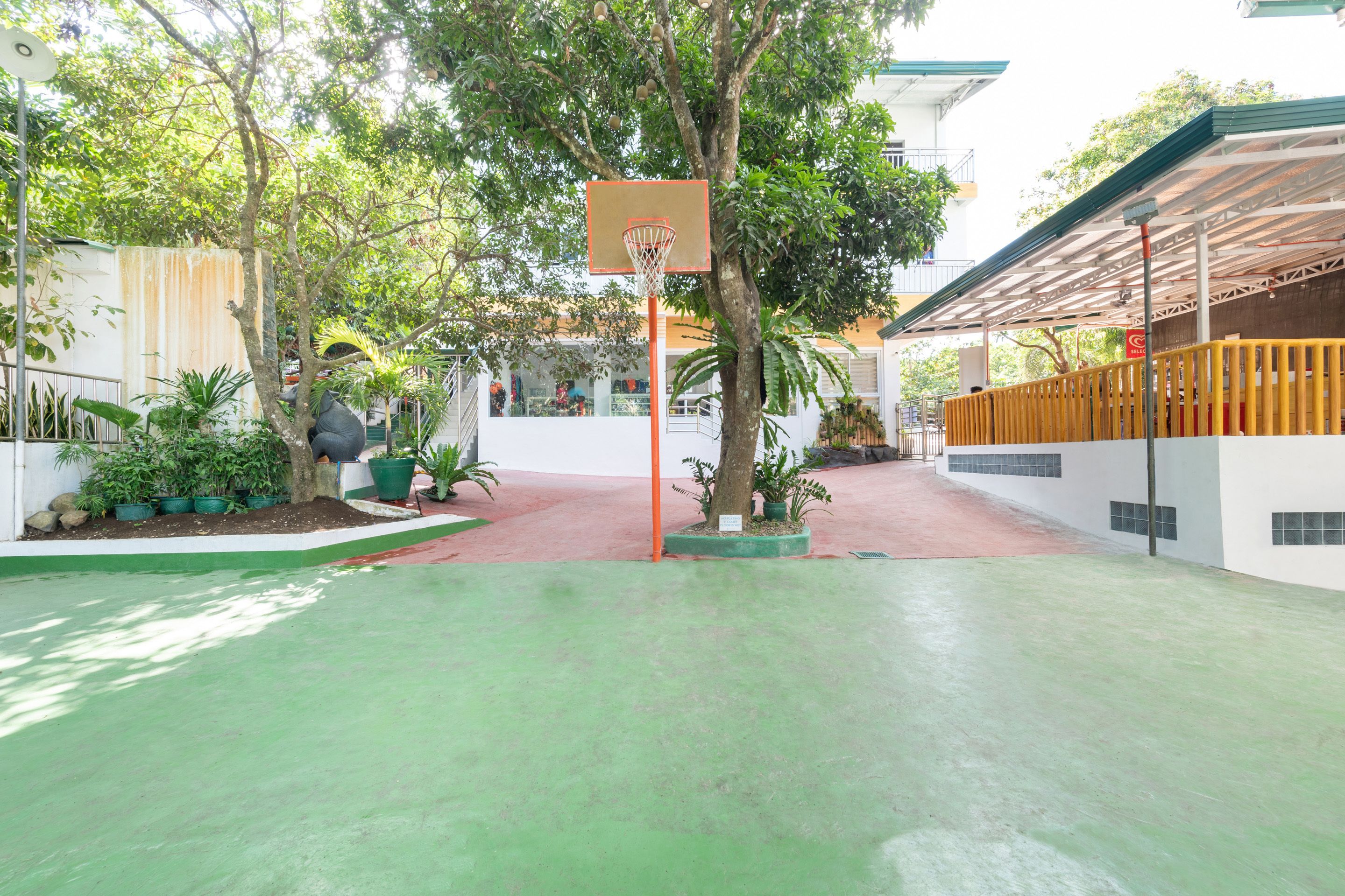 basketball court