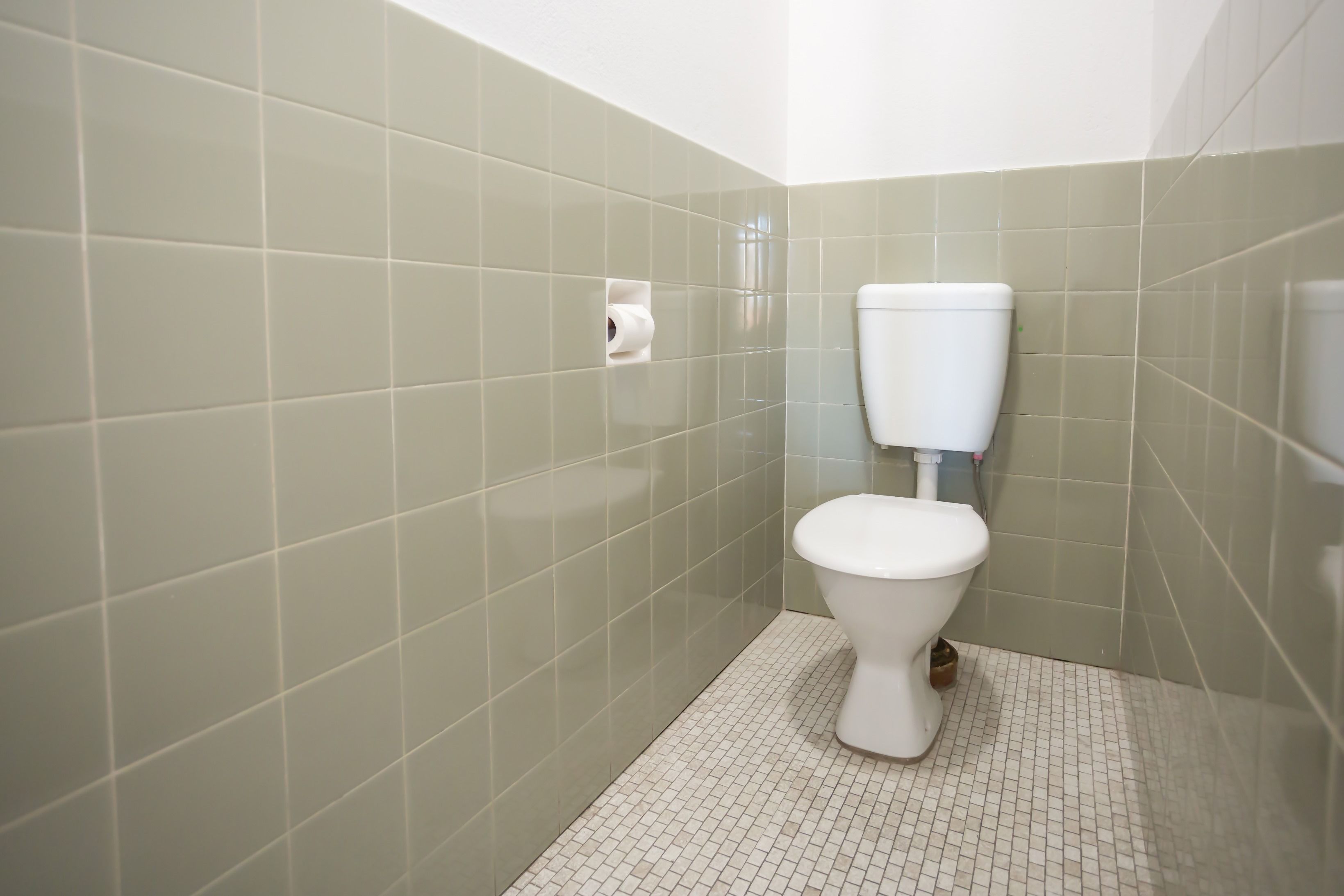 A small, clean bathroom with a toilet, a toilet paper holder, and a tiled floor.