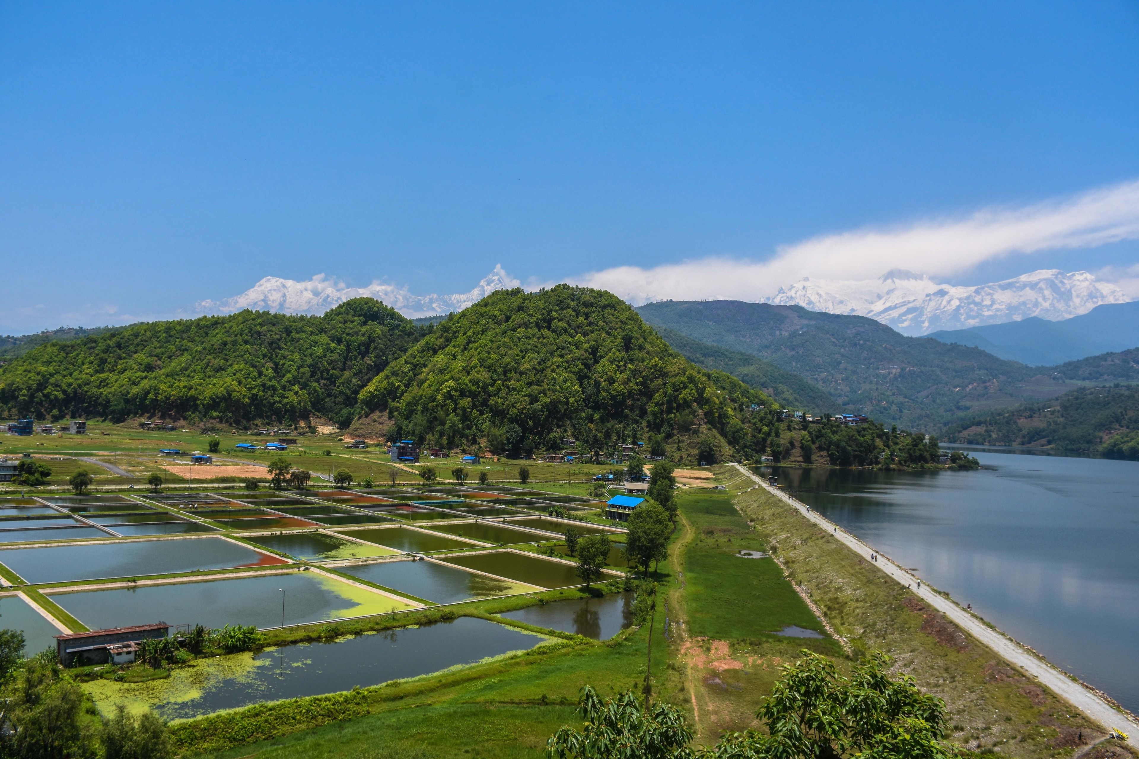 A landscape with a lake, terraced fields, and mountains in the background.