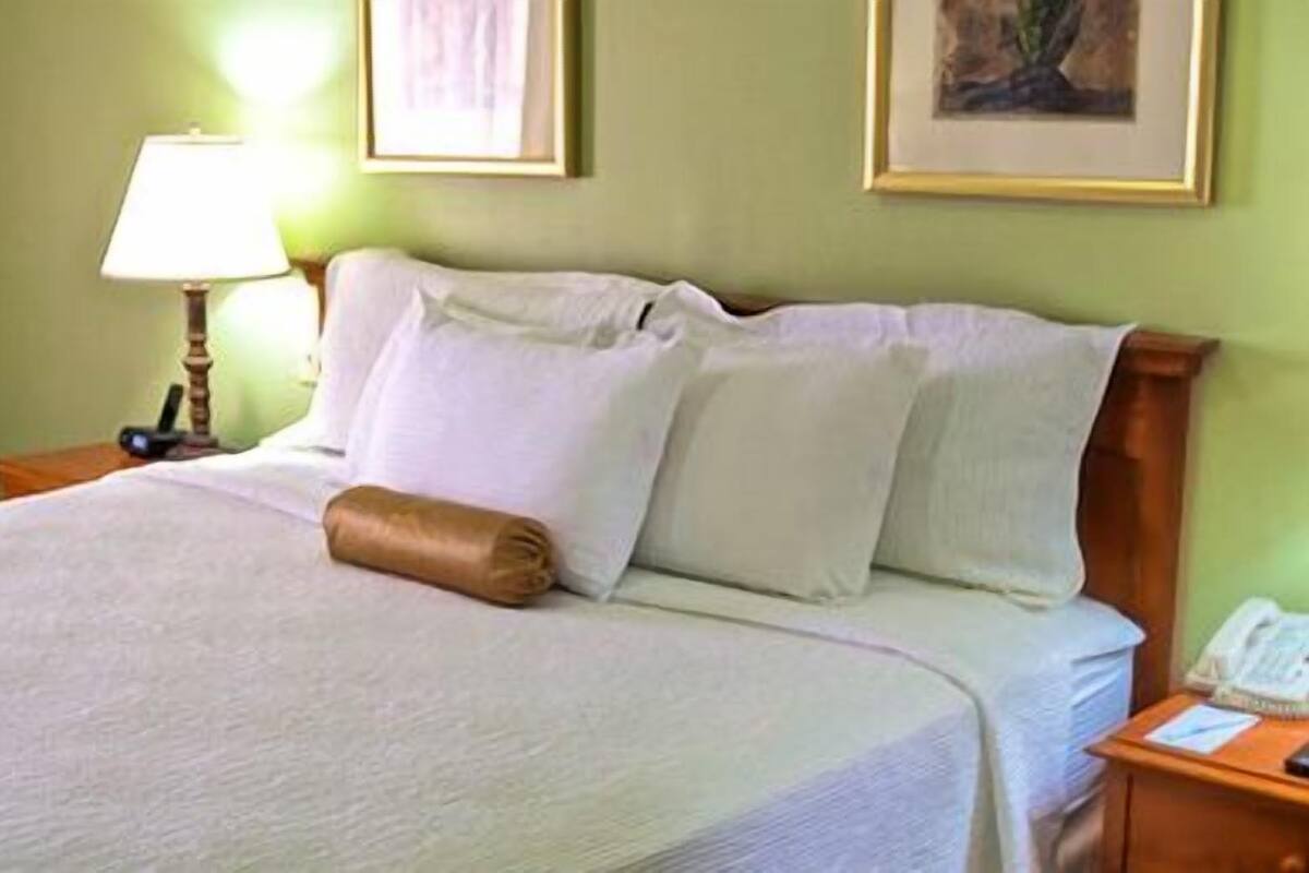 A neatly made bed with white linens and a brown throw pillow in a room with green walls and a framed picture above the bed.