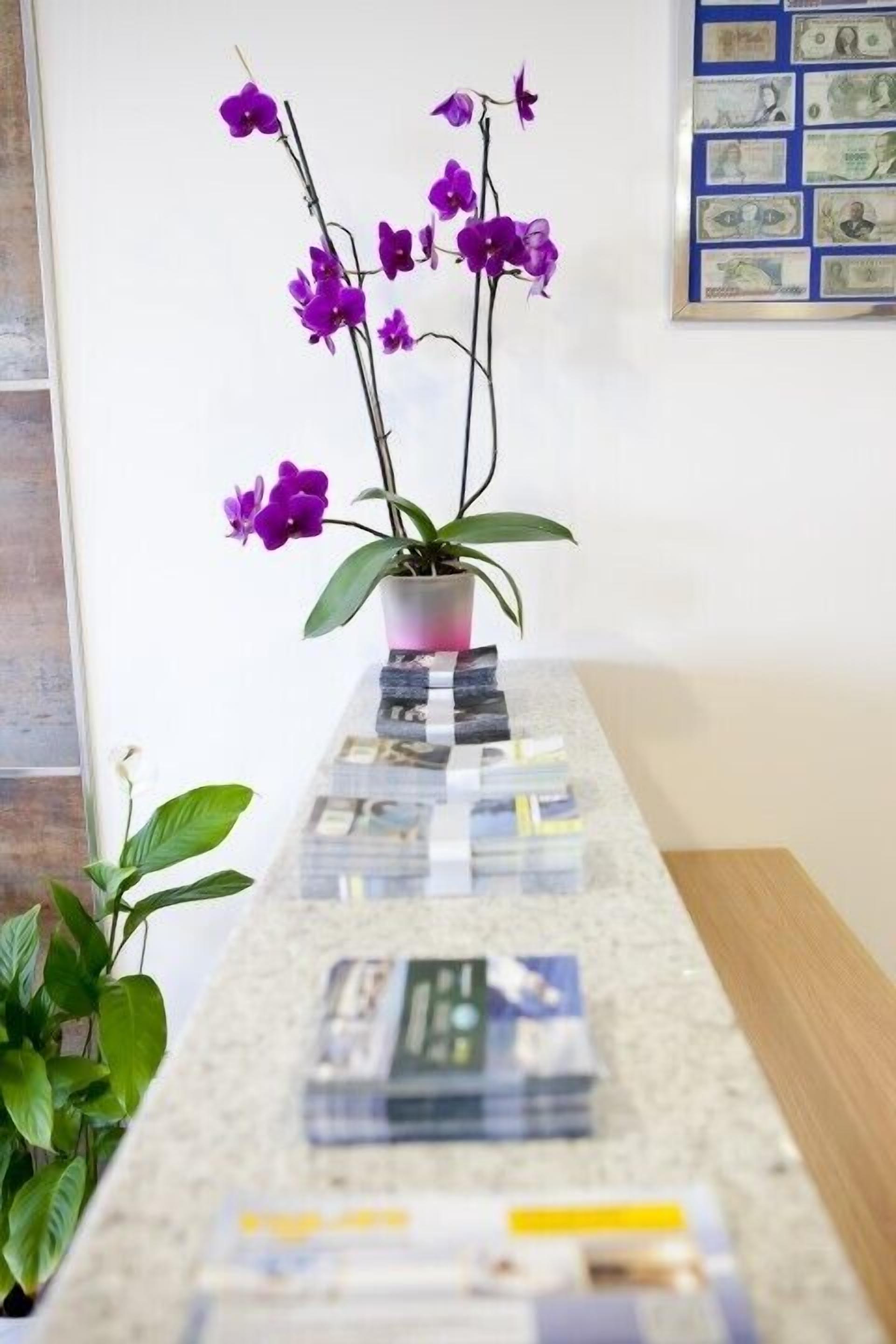 Foto - Hotel Brisa del Mar