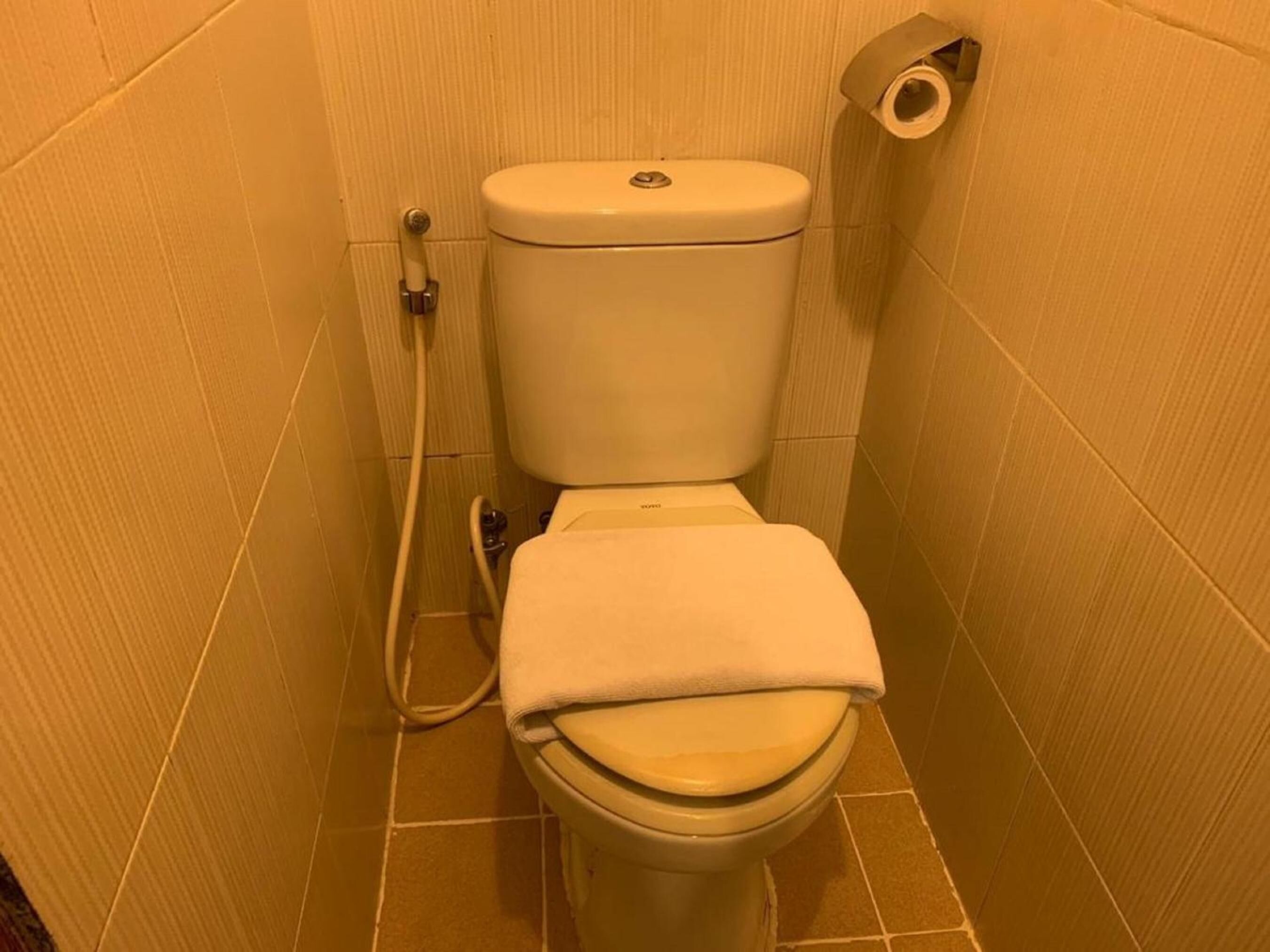 A small, compact bathroom with a toilet, a roll of toilet paper, and a shower hose.
