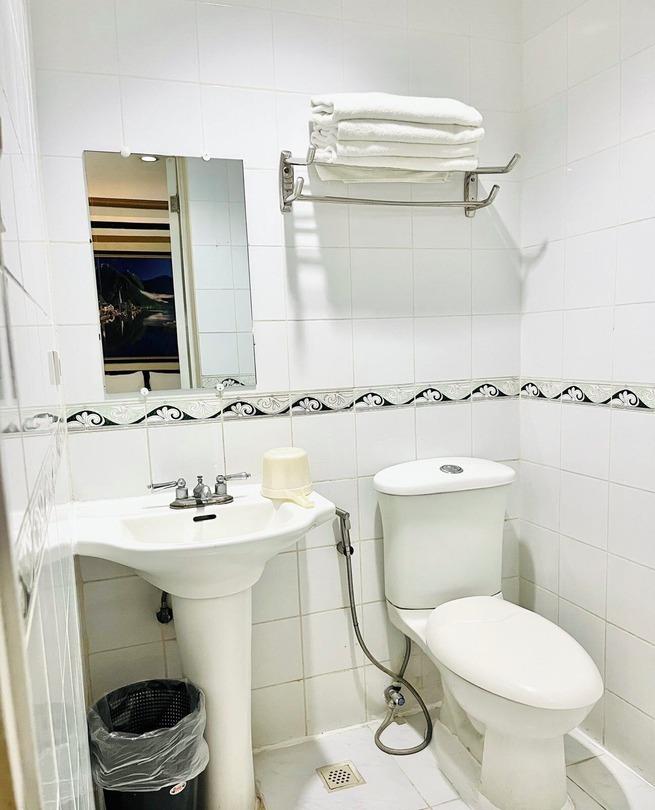 A bathroom with a sink, toilet, and a towel rack.